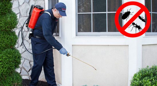 Akçakoca Akrep İlaçlama böcek ilaçlama ve haşere kontrolü — ilaclama-tr.com